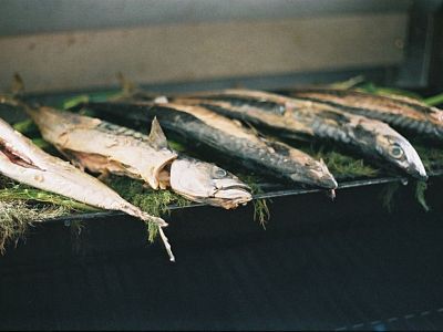 Top 7 Sustainable British Fish